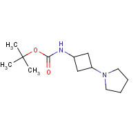 1246739-82-1 tert-butyl N-(3-pyrrolidin-1-ylcyclobutyl)carbamate chemical structure