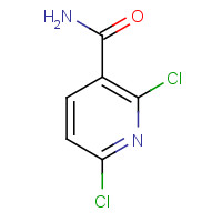 62068-78-4 2,6-dichloropyridine-3-carboxamide chemical structure