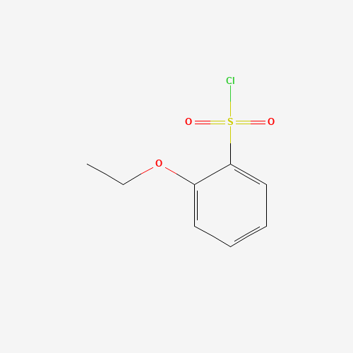68800-33-9 2-ethoxybenzenesulfonyl chloride chemical structure