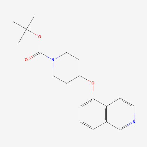 651310-01-9 tert-butyl 4-isoquinolin-5-yloxypiperidine-1-carboxylate chemical structure