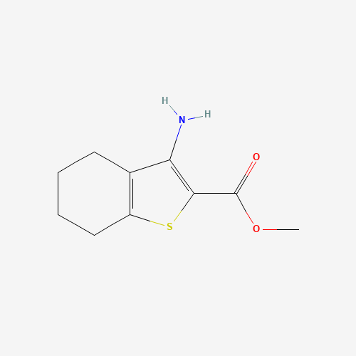 119205-38-8 methyl 3-amino-4,5,6,7-tetrahydro-1-benzothiophene-2-carboxylate chemical structure