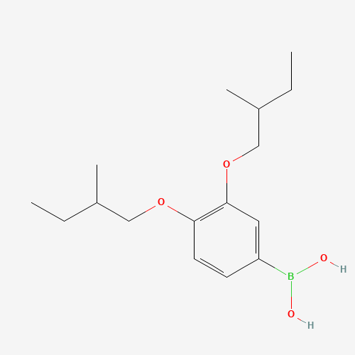 340148-67-6 [3,4-bis(2-methylbutoxy)phenyl]boronic acid chemical structure