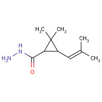 113904-76-0 2,2-dimethyl-3-(2-methylprop-1-enyl)cyclopropane-1-carbohydrazide chemical structure