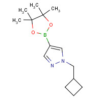1233526-47-0 1-(cyclobutylmethyl)-4-(4,4,5,5-tetramethyl-1,3,2-dioxaborolan-2-yl)pyrazole chemical structure