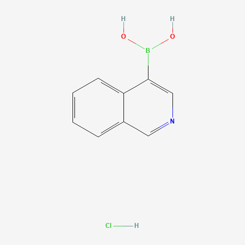 677702-23-7 isoquinolin-4-ylboronic acid;hydrochloride chemical structure