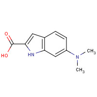 100060-36-4 6-(dimethylamino)-1H-indole-2-carboxylic acid chemical structure