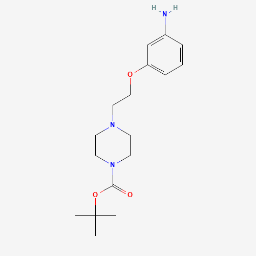 1135283-72-5 tert-butyl 4-[2-(3-aminophenoxy)ethyl]piperazine-1-carboxylate chemical structure