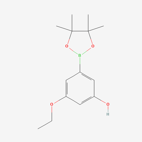 1235566-06-9 3-ethoxy-5-(4,4,5,5-tetramethyl-1,3,2-dioxaborolan-2-yl)phenol chemical structure
