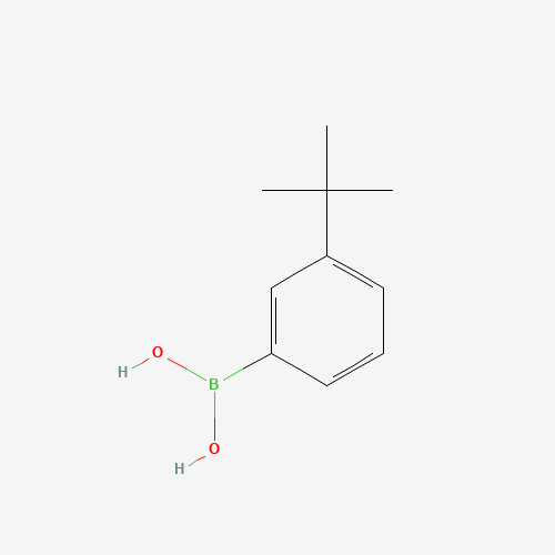 560132-24-3 (3-tert-butylphenyl)boronic acid chemical structure