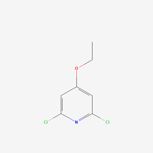 894804-42-3 2,6-dichloro-4-ethoxypyridine chemical structure