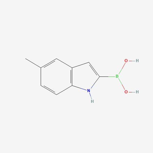 953411-08-0 (5-methyl-1H-indol-2-yl)boronic acid chemical structure