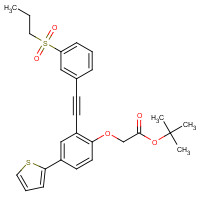 1240288-38-3 tert-butyl 2-[2-[2-(3-propylsulfonylphenyl)ethynyl]-4-thiophen-2-ylphenoxy]acetate chemical structure