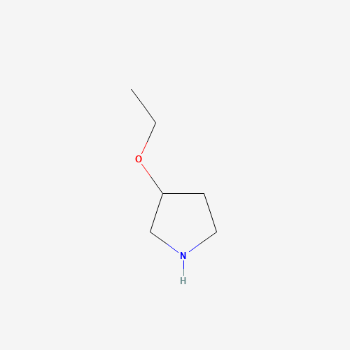 45592-49-2 3-ethoxypyrrolidine chemical structure