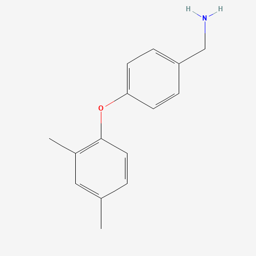 937598-91-9 [4-(2,4-dimethylphenoxy)phenyl]methanamine chemical structure
