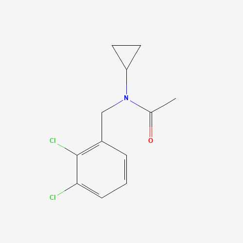 1041439-18-2 N-cyclopropyl-N-[(2,3-dichlorophenyl)methyl]acetamide chemical structure