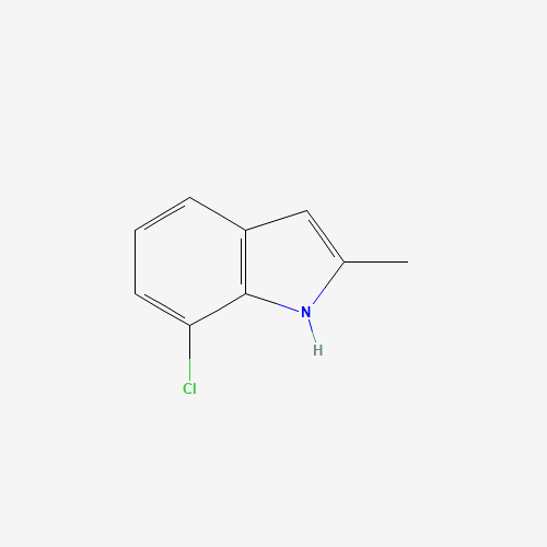 623177-14-0 7-chloro-2-methyl-1H-indole chemical structure