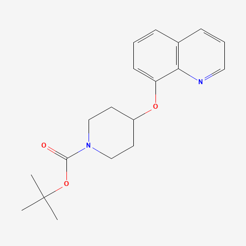 954235-85-9 tert-butyl 4-quinolin-8-yloxypiperidine-1-carboxylate chemical structure