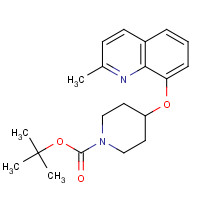 954235-28-0 tert-butyl 4-(2-methylquinolin-8-yl)oxypiperidine-1-carboxylate chemical structure