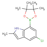 919119-60-1 5-chloro-2-methyl-7-(4,4,5,5-tetramethyl-1,3,2-dioxaborolan-2-yl)-1H-indole chemical structure