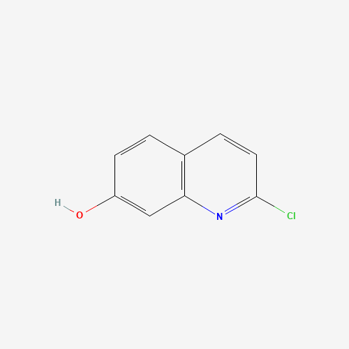 375358-19-3 2-chloro-1H-quinolin-7-one chemical structure