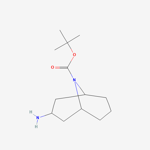 202797-03-3 tert-butyl 3-amino-9-azabicyclo[3.3.1]nonane-9-carboxylate chemical structure