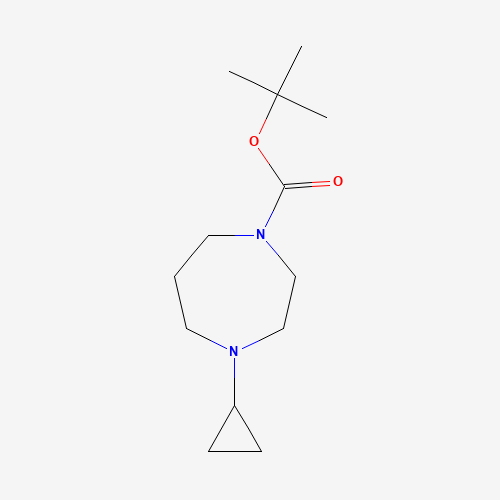 1000405-23-1 tert-butyl 4-cyclopropyl-1,4-diazepane-1-carboxylate chemical structure