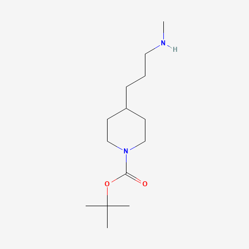 171049-43-7 tert-butyl 4-[3-(methylamino)propyl]piperidine-1-carboxylate chemical structure