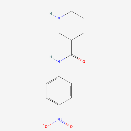 774535-95-4 N-(4-nitrophenyl)piperidine-3-carboxamide chemical structure