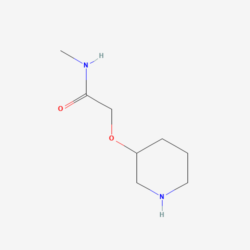 1021076-20-9 N-methyl-2-piperidin-3-yloxyacetamide chemical structure