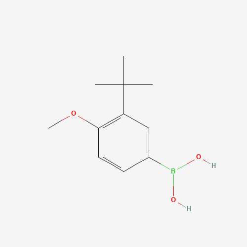 196960-96-0 (3-tert-butyl-4-methoxyphenyl)boronic acid chemical structure