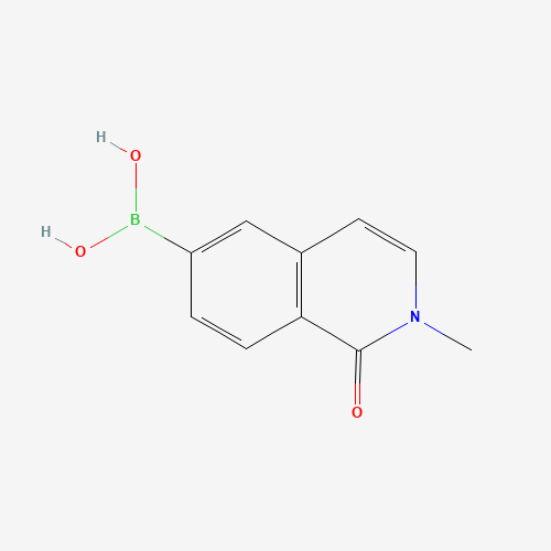 1251401-71-4 (2-methyl-1-oxoisoquinolin-6-yl)boronic acid chemical structure