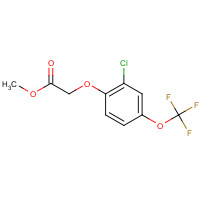 653578-82-6 methyl 2-[2-chloro-4-(trifluoromethoxy)phenoxy]acetate chemical structure
