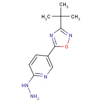 1233705-31-1 [5-(3-tert-butyl-1,2,4-oxadiazol-5-yl)pyridin-2-yl]hydrazine chemical structure