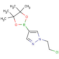 877149-79-6 1-(2-chloroethyl)-4-(4,4,5,5-tetramethyl-1,3,2-dioxaborolan-2-yl)pyrazole chemical structure