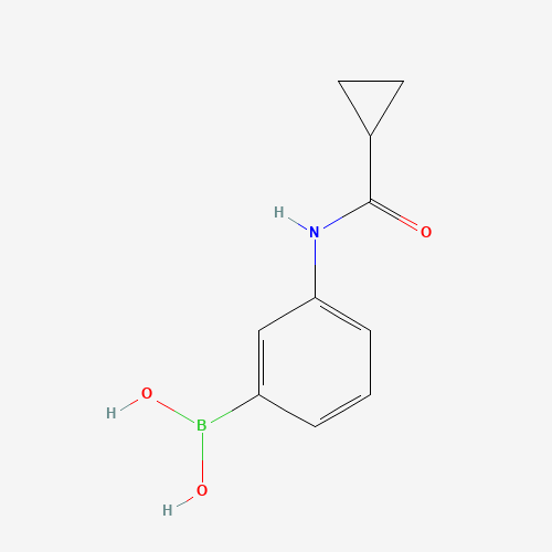 934543-06-3 [3-(cyclopropanecarbonylamino)phenyl]boronic acid chemical structure