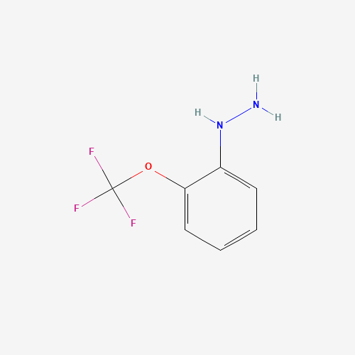 791029-98-6 [2-(trifluoromethoxy)phenyl]hydrazine chemical structure