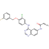 897383-62-9 N-[4-[3-chloro-4-[(3-fluorophenyl)methoxy]anilino]quinazolin-6-yl]prop-2-enamide chemical structure