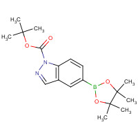 864771-44-8 tert-butyl 5-(4,4,5,5-tetramethyl-1,3,2-dioxaborolan-2-yl)indazole-1-carboxylate chemical structure