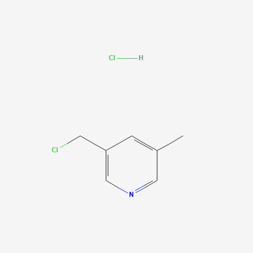 1007089-84-0 3-(chloromethyl)-5-methylpyridine;hydrochloride chemical structure
