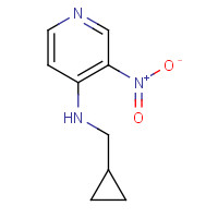 842143-89-9 N-(cyclopropylmethyl)-3-nitropyridin-4-amine chemical structure