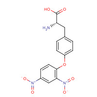 10567-73-4 (2S)-2-amino-3-[4-(2,4-dinitrophenoxy)phenyl]propanoic acid chemical structure