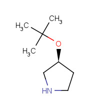 1104643-25-5 (3S)-3-[(2-methylpropan-2-yl)oxy]pyrrolidine chemical structure