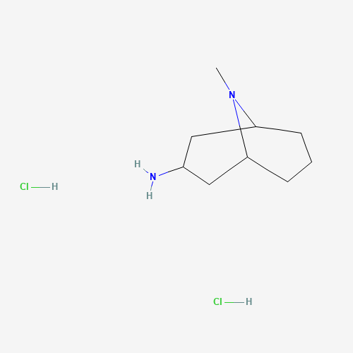 906081-58-1 (1R,5S)-9-methyl-9-azabicyclo[3.3.1]nonan-3-amine;dihydrochloride chemical structure
