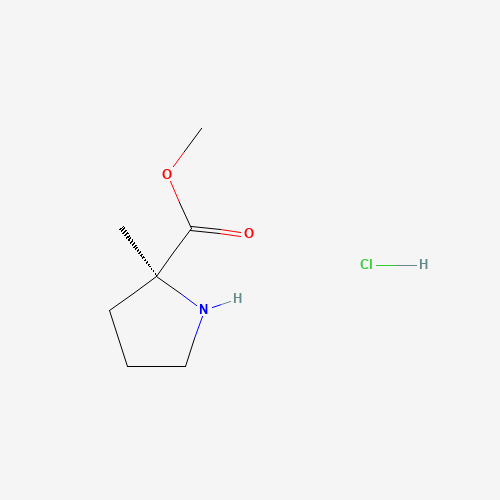 220060-08-2 methyl (2S)-2-methylpyrrolidine-2-carboxylate hydrochlo chemical structure