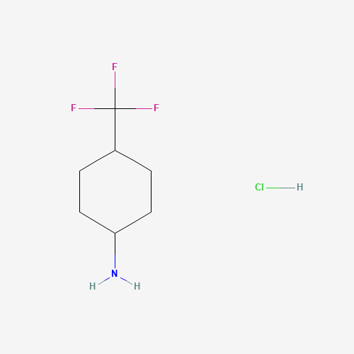 1218943-32-8 4-(trifluoromethyl)cyclohexan-1-amine;hydrochloride chemical structure