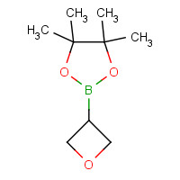 1396215-84-1 4,4,5,5-tetramethyl-2-(oxetan-3-yl)-1,3,2-dioxaborolane chemical structure