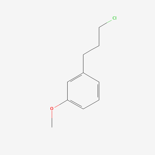 91817-84-4 1-(3-chloropropyl)-3-methoxybenzene chemical structure
