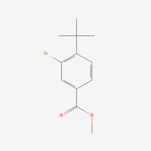 14034-08-3 methyl 3-bromo-4-(tert-butyl)benzoate chemical structure