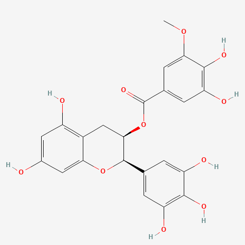 83104-87-4 (-)-EGCG-3''-O-Me chemical structure