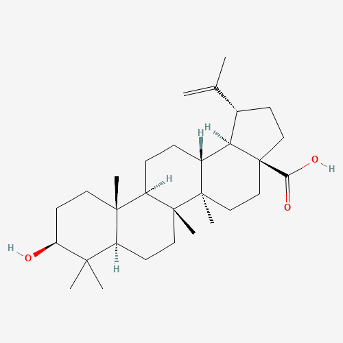 472-15-1 Betulinic acid chemical structure